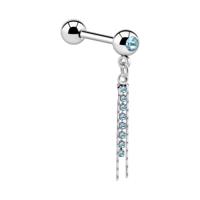 Jeweled Barbell with Charm Chirurgisch staal 316L / Belegde messing Barbells