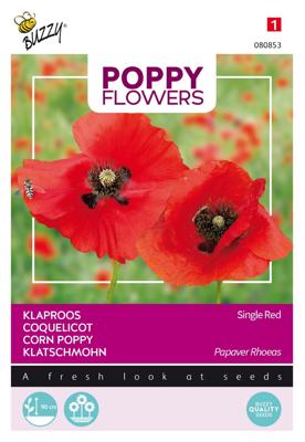 Poppies of the world klaproos rhoeas rood - Buzzy