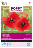 Poppies of the world klaproos rhoeas rood - Buzzy