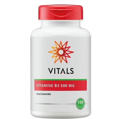 Vitamine B3 niacinamide 500mg