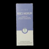 Oligoplant Ribes 120 Milliliter