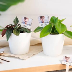 Bloempot met full color print plantensteker - set van 12
