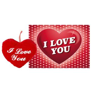 Pluche knuffel kussen rood I Love You 22 cm met Love/Hartjes wenskaart