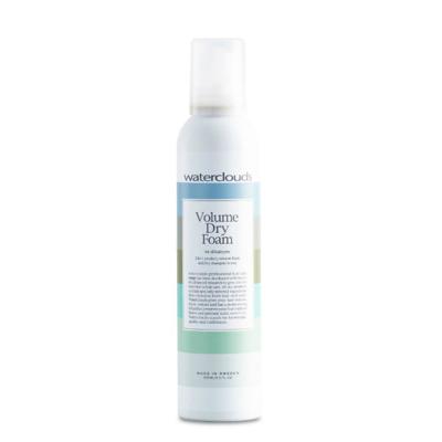 Waterclouds Volume Dry Foam 250ml