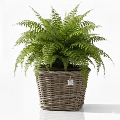 Planten/bloemen mand - vierkant - rotan - gevlochten riet - 38 x 38 x 30 cm - drypot