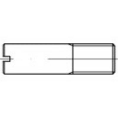 TOOLCRAFT 1060682 Tapeind M10 RVS A1 100 stuk(s)