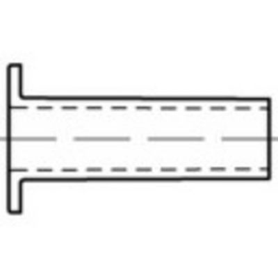 TOOLCRAFT TO-5454312 Massieve holle klinknagel 6 mm 100 stuk(s)