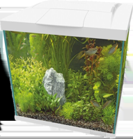 Superfish Start Qube 60 kit wit