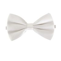 Witte verkleed vlinderstrikje 12 cm voor dames/heren   - - thumbnail