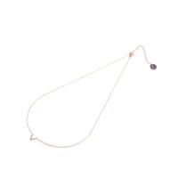 Go Dutch Label Ketting met V Goud