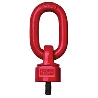 Delta Wartel oogbout | grade 80 volgens EN 1677 | 1 ton | M12x18 mm - YE.8.032.12 YE.8.032.12