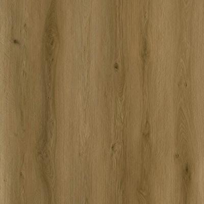 Sense - SPC EXL550 Serie EXLargo (Klik PVC)