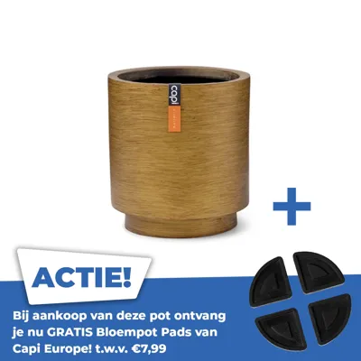 Vaas cilinder retro d19h21 goud