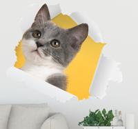 3D muursticker woonkamer met kat