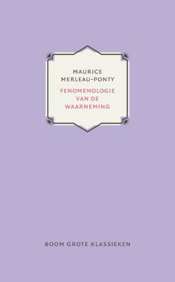Fenomenologie van de waarneming (Hardback)