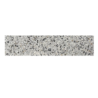 Terre d'Azur Granito Plint Treviso 40x7.5 cm Terre d'Azur Granito Plint Treviso 40x7.5 cm