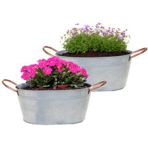 Plantenpot/bloempot teil Jean - 2x - ovaal - zink - zilver - L27 x D18 X H12 cm