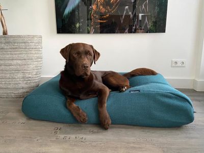 Dog's Companion® Hondenbed Copenhagen petrol
