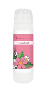 Balance Pharma Flowerplex 28 Gehechtheid