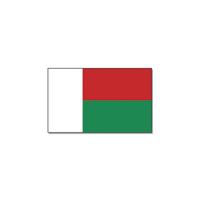 Vlag Madagaskar - 90 x 150 cm - Landen thema supporter decoratie artikelen - met ringen