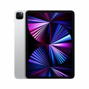 Refurbished iPad Pro 11 2021 256 GB Zilver Licht gebruikt