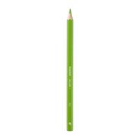 Bruynzeel Mega kleurpotlood - Lichtgroen