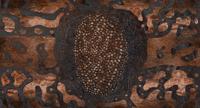 Muance Muance Fotobehang Ornament - MU14095