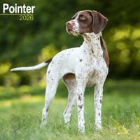 Pointer Kalender 2026