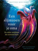 Een slijmzoen voor je oma (Hardback) Een slijmzoen voor je oma (Hardback)