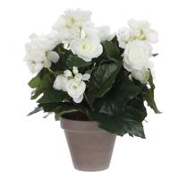 Mica Decoration Kunstplant - begonia - wit - in pot - 30 cm - nepplanten - Voor binnen