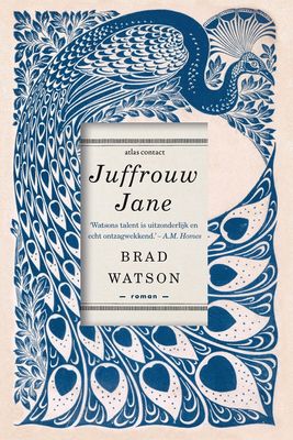 Juffrouw Jane - Brad Watson - ebook