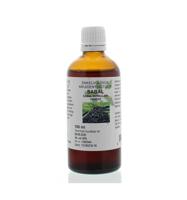 Sabal serrulata fructus tinctuur