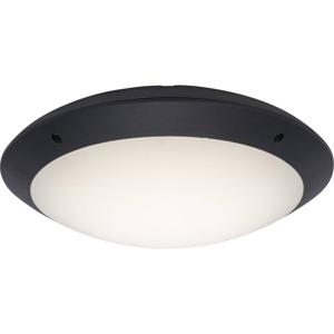 Brilliant G96053/63 Medway Buitenplafondlamp LED LED vast ingebouwd 12 W Antraciet