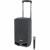 Samson Expedition XP310w draadloze speaker incl. microfoon (Band G: 863-865 MHz)