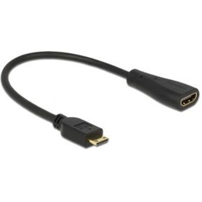 Delock 65650 kabel High Speed HDMI met Ethernet - mini C male > A female
