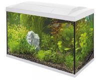Superfish Start 70 Tropical Kit Wit - 60L Compleet Aquarium met LED, Filter & Heater