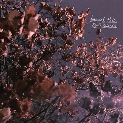 Internal Radio - CD (0602309895402) Internal Radio - CD (0602309895402)