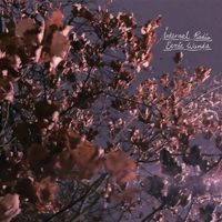 Internal Radio - CD (0602309895402) - thumbnail