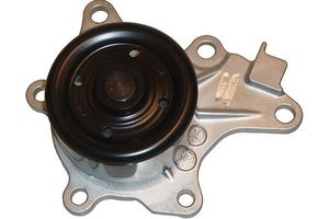 Waterpomp TW5153