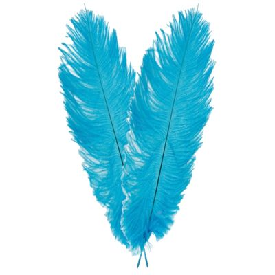Pieten struisvogelveer/sierveer - 2x - turquoise - 55-60 cm - decoratie/hobbymateriaal