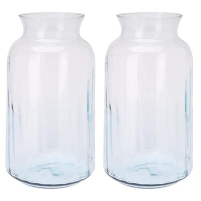 Excellent Houseware bloemenvaas - 2x - glas - transparant - bloemen en siertakken vaas - 19 x 30 cm