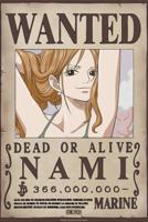 Poster One Piece Wanted Nami Wano 38x52cm