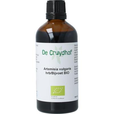 Natura Sanat Artemisia vulgaris herb/bijvoet tinctuur bio