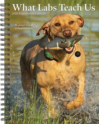 What Labs Teach Us Agenda 2026