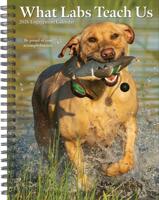 What Labs Teach Us Agenda 2026