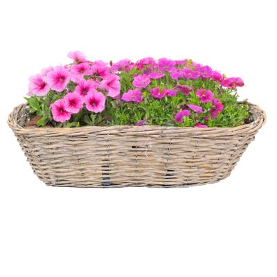 Balkonmand - ovaal - rotan gevlochten - 46 x 22 x 17 cm - bloemen/planten - schuttingmand