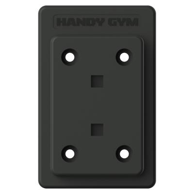 Handy Gym Wall Mounting Plate