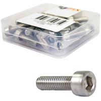Bofix inbusbout m2x6 rvs (25st)