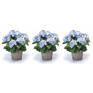 3x Blauwe Hortensia kunstplanten in mand 45 cm