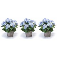 3x Blauwe Hortensia kunstplanten in mand 45 cm - thumbnail